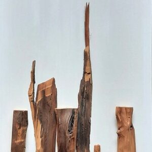 Cuadros en madera Paisajismo
