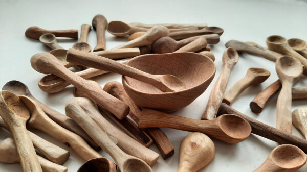 Mini cuchara maderas variadas. Especias - Imagen 10