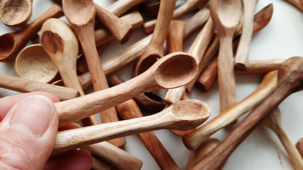 Mini cuchara maderas variadas. Especias - Imagen 6