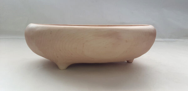 Cuenco ASHI madera abedul - Imagen 4